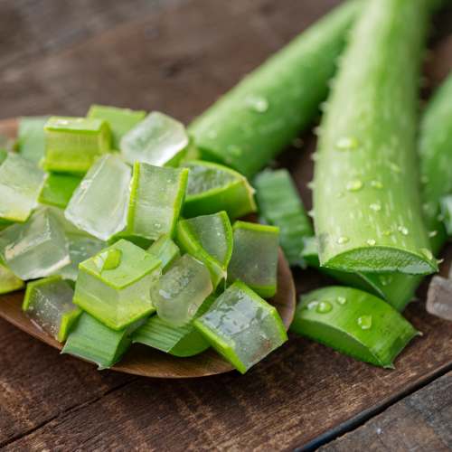 Ingredienti Attivi Aloe Vera
