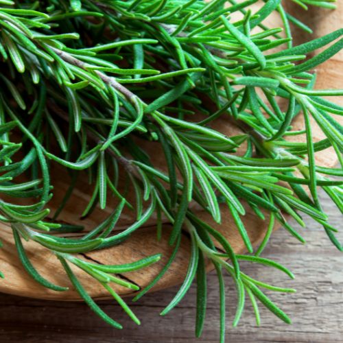 Ingredienti Attivi Rosmarino