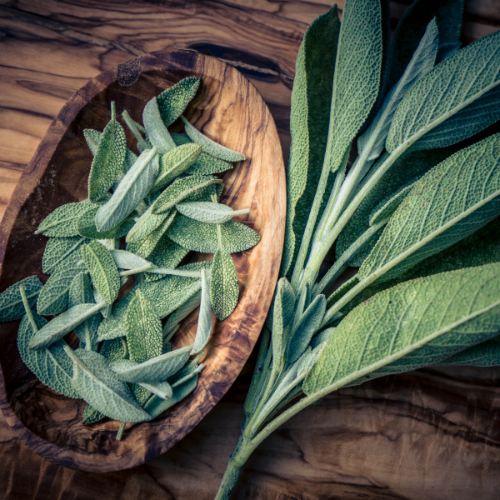 Ingredienti Attivi Salvia